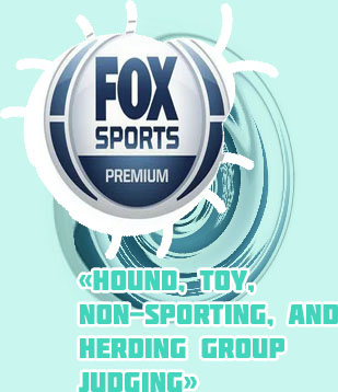 Fox sports 2 live