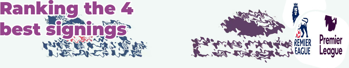Premier league signings